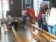 IMG-20201121-WA0042