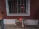 20210201-celebracionCandelaria-04