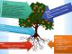parabola-arbol-03