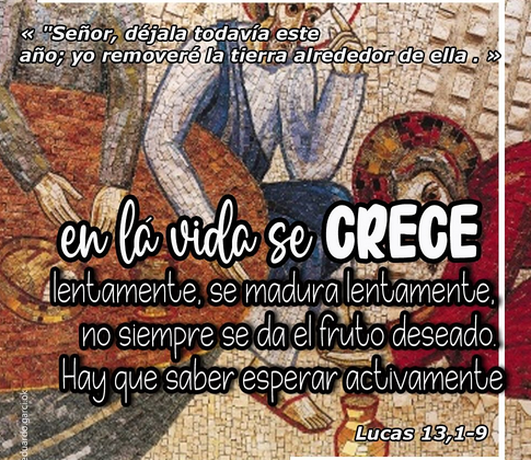 ORANDO CON LA PALABRA