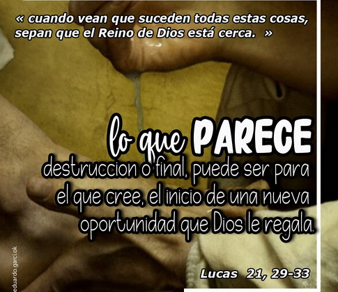 ORANDO CON LA PALABRA