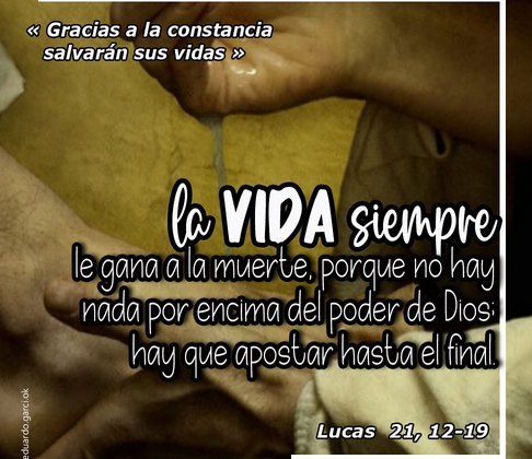 ORANDO CON LA PALABRA