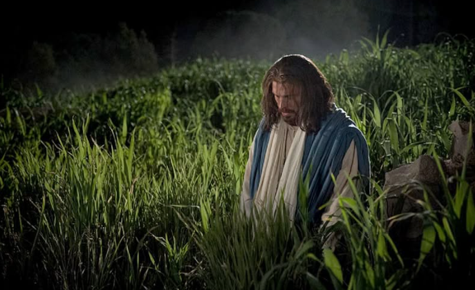 EL EVANGELIO DEL DÍA