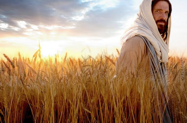 EL EVANGELIO DEL DÍA