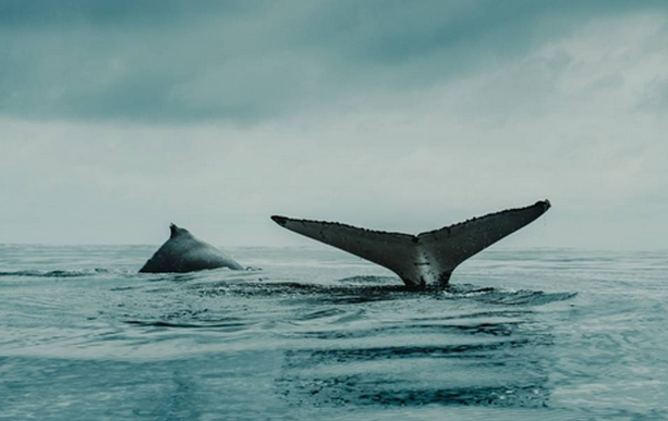 EL EVANGELIO DEL DÍA