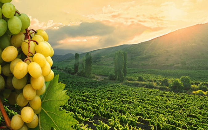 EL EVANGELIO DEL DÍA