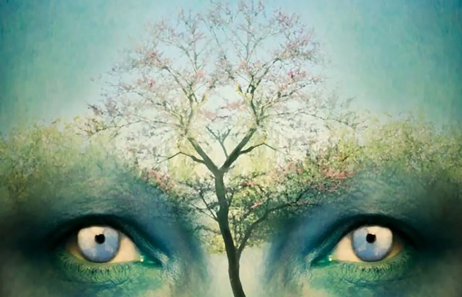 LOS GESTOS DE PASCUA – AFIRMAR LA VIDA