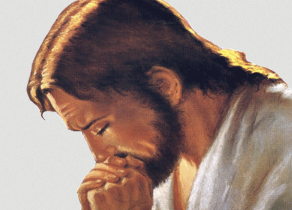 EL EVANGELIO DEL DÍA
