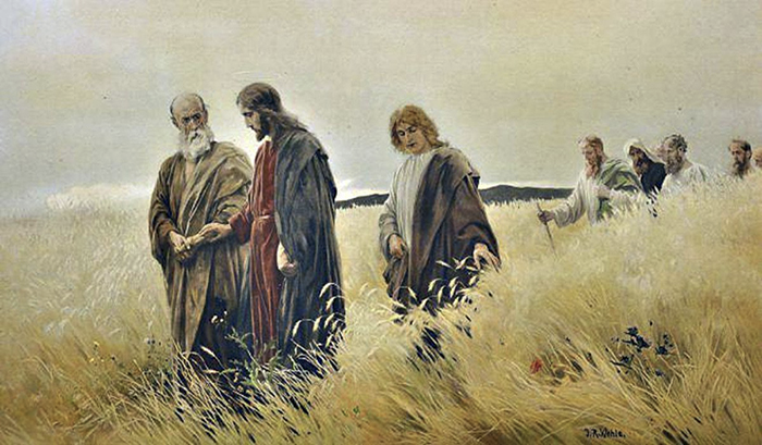EL EVANGELIO DEL DÍA