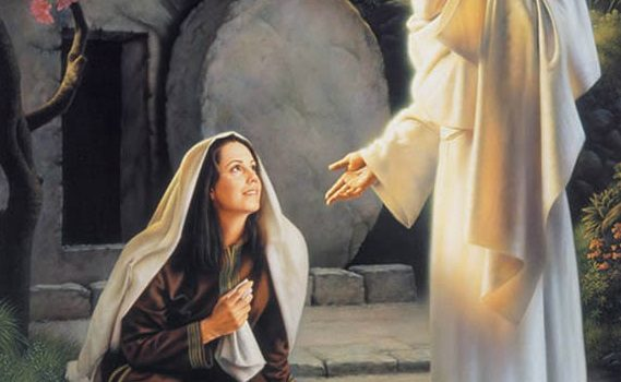 EL EVANGELIO DEL DÍA