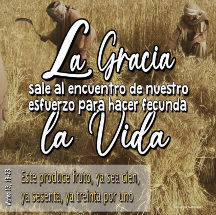 ORANDO CON LA PALABRA