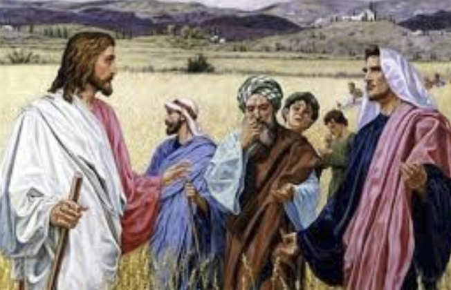 EL EVANGELIO DEL DÍA
