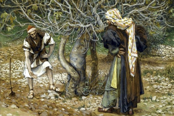 EL EVANGELIO DEL DÍA