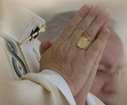 TE ACOMPAÑAMOS PAPA LEÓN